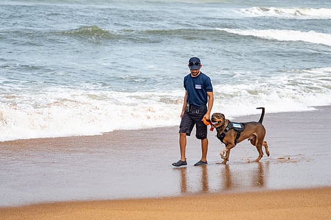 The "Paw Squad" is a first-of-its-kind initiative in Asia in which highly trained dogs and their handlers are used on the beach to assist with effective patrolling and lifesaving efforts