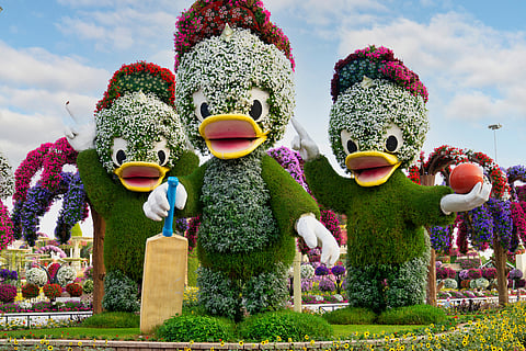 Dubai Magic Garden, landscape and garden decor