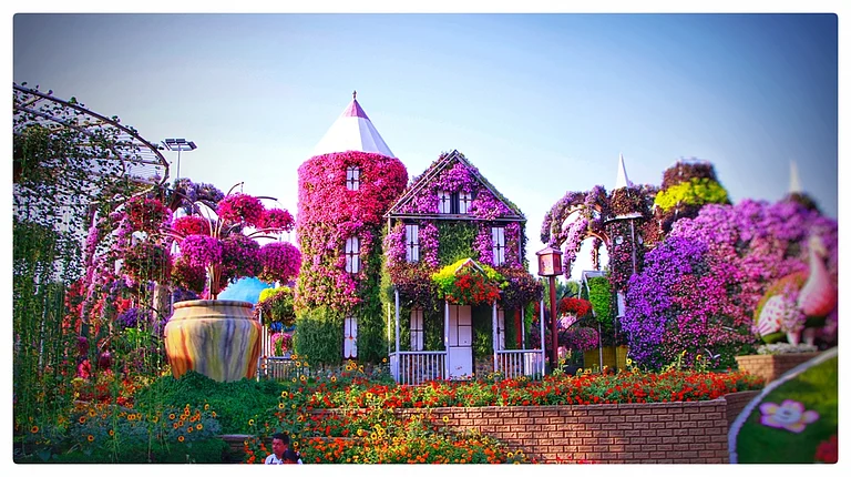 Dubai's Miracle Garden is a mesmerising tapestry of vibrant colours - Nitin M Chivilkar/Shutterstock
