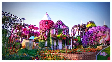 Nitin M Chivilkar/Shutterstock : Dubais Miracle Garden is a mesmerising tapestry of vibrant colours