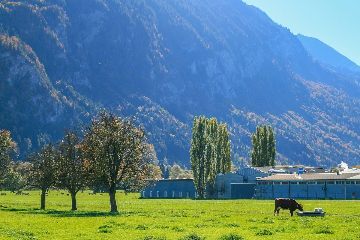 Yevgeniya Tyumina/Unsplash : A Grand Tour through Switzerland is a most delightful way to see the country