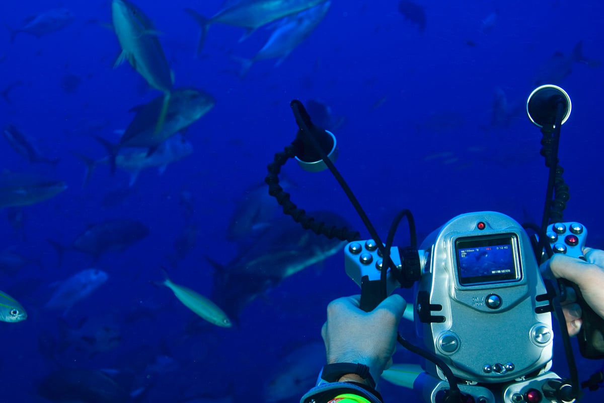 Underwater video game at Pacific Harbour