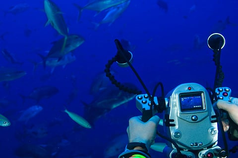 Underwater video game at Pacific Harbour