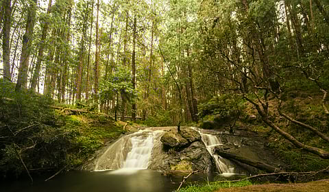 Gundar waterfalls near Kodaikanal, Tamil Nadu
