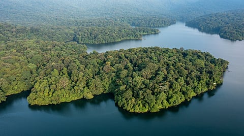 Sprawling over 125 square kilometres, Peechi-Vazhani Wildlife Sanctuary is part of the Palapilli-Nelliampathy forests and forms the northern boundary of the Chimmini Wildlife Sanctuary