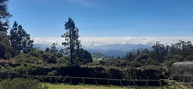 Shutterstock : Ooty is a picturesque hill station located in the Nilgiri Hills of the Western Ghats in Tamil Nadu