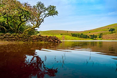 svsorion/Shutterstock : The landscape of Baba Budangiri in Chikkamagaluru