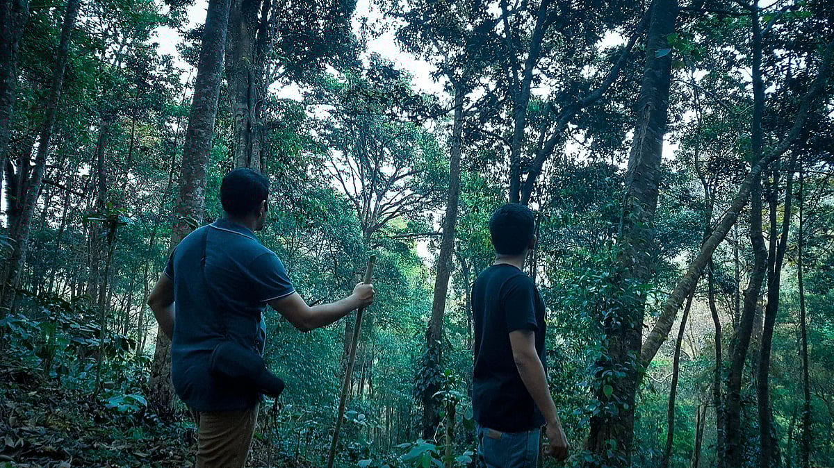 Situated in the heart of a rainforest, Wayanad Wild brings you closer to nature