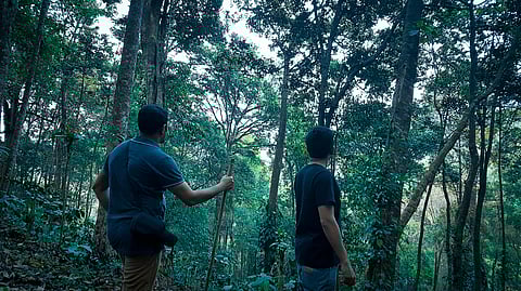 Situated in the heart of a rainforest, Wayanad Wild brings you closer to nature