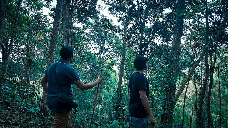 Situated in the heart of a rainforest, Wayanad Wild brings you closer to nature