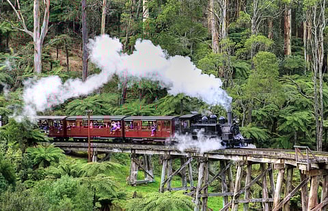 The Puffing Billy narrow gauge steam train crossing the Belgrave trestle bridge in The Dandenong Ranges