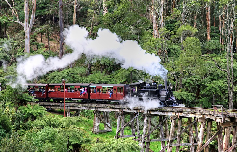 The Puffing Billy narrow gauge steam train crossing the Belgrave trestle bridge in The Dandenong Ranges