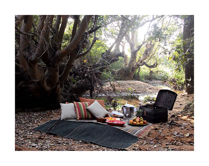 The 35 acres of Samode Safari Lodge offer epic views amid a vast swath of rich forest in Bandhavgarh National Park