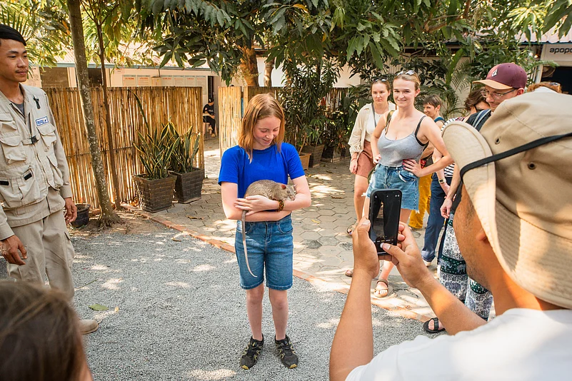 A close-up of an African giant pouched rat being cradled in hands