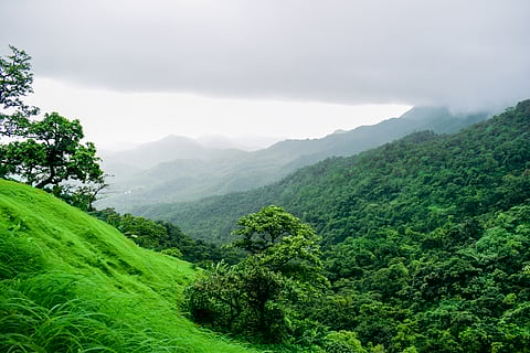 Verdant views from Mahuli village