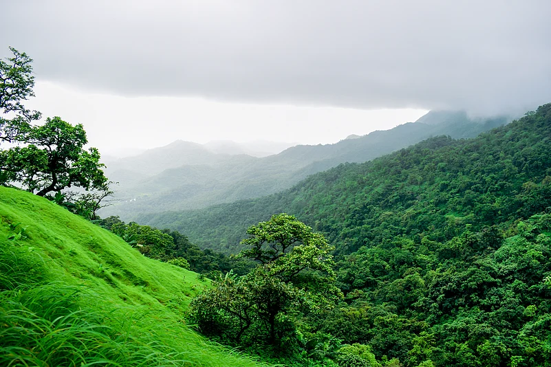 Verdant views from Mahuli village