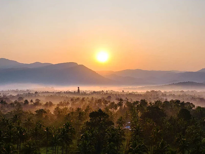 The Cotigao Wildlife Sanctuary Trek takes place amid lush green forests
