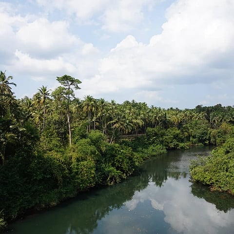 The Sanguem River of South Goa