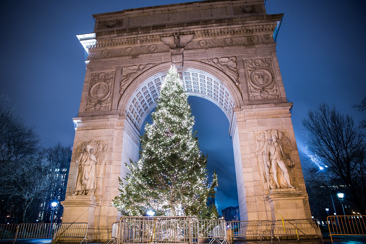 Washington Square Parks Christmas tree is annually lit up in the first or second week of December