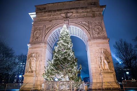 Washington Square Park's Christmas tree is annually lit up in the first or second week of December