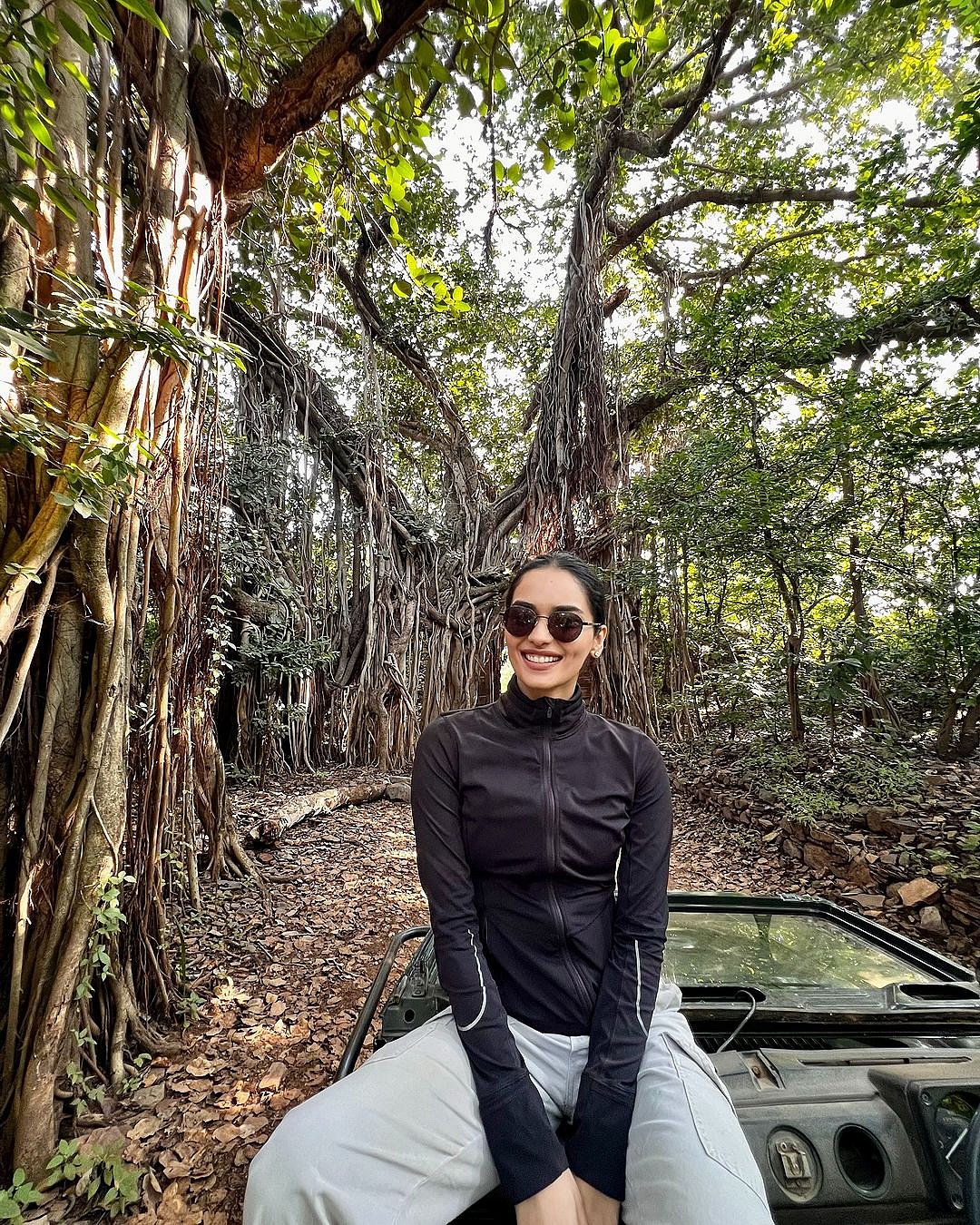 manushi_chhillar/instagram : Manushi Chhillar in Ranthamore on a jungle safari
