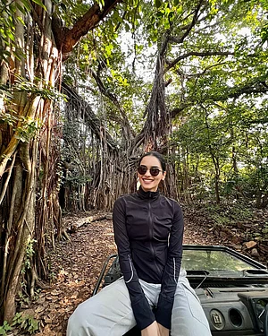 manushi_chhillar/instagram : Manushi Chhillar in Ranthamore on a jungle safari