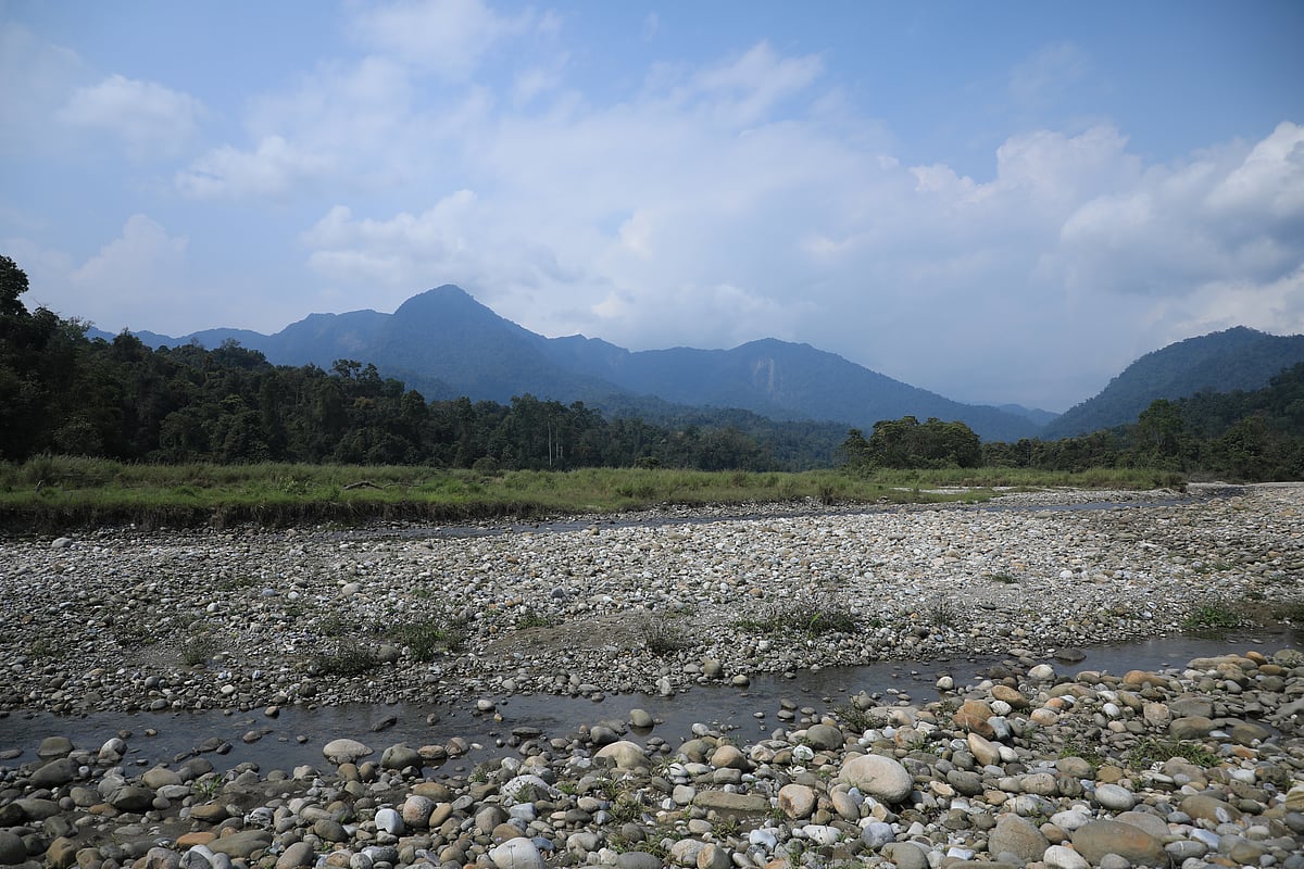 With more than 300 bird species identified, Pakke is also a birdwatchers paradise
