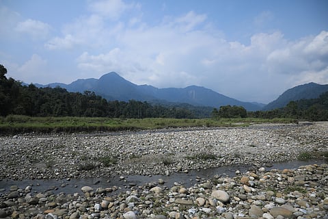 With more than 300 bird species identified, Pakke is also a birdwatcher's paradise