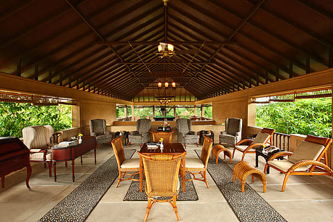 The Tuli Tiger Corridor is a luxurious jungle camp set in the midst of acres of lush, green forest