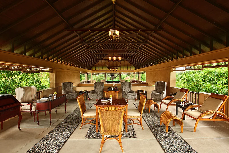 The Tuli Tiger Corridor is a luxurious jungle camp set in the midst of acres of lush, green forest