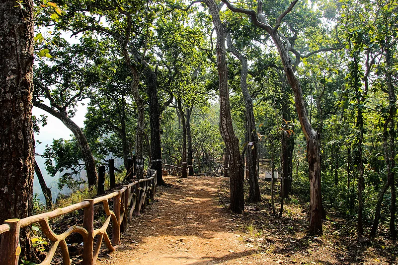 Simlipal National Park in Odisha is a protected area that is part of the UNESCO World Network of Biosphere Reserves since 2009