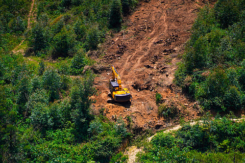 India has lost an average of 668,400 hectares of forest cover in the last 30 years, according to a report by UK-based Utility Bidder 