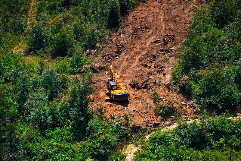 India has lost an average of 668,400 hectares of forest cover in the last 30 years, according to a report by UK-based Utility Bidder