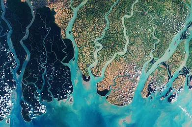 lavizzara/Shutterstock : The view from space of the Sundarbans, the largest mangrove forest in the world in the Bay of Bengal