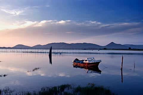 The serene beauty of Chilika Lake