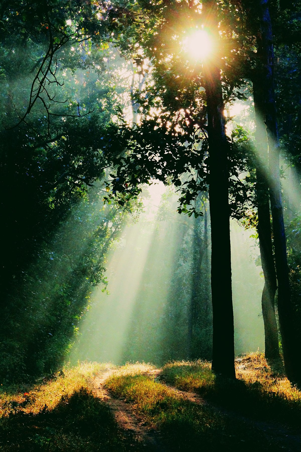 Shutterstock : A morning view of the 