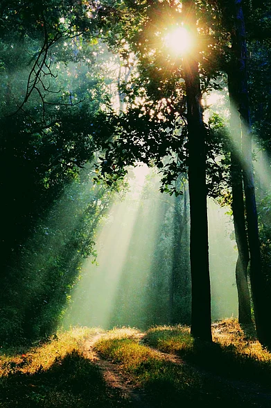 Shutterstock : A morning view of the