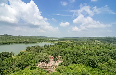 Ranthambore National Park is facing pressure because of an increasing number of tigers—about 88 of them live in an area of around 1,400 square kilometres, which can't fully support them