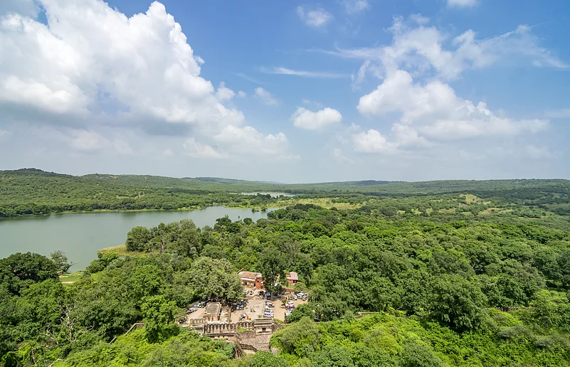 Ranthambore National Park is facing pressure because of an increasing number of tigers—about 88 of them live in an area of around 1,400 square kilometres, which cant fully support them