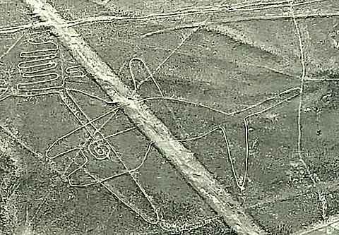 Nazca Lines, giant shapes of mysterious animals and geometric patterns carved into the earth, still puzzle historians and archaeologists