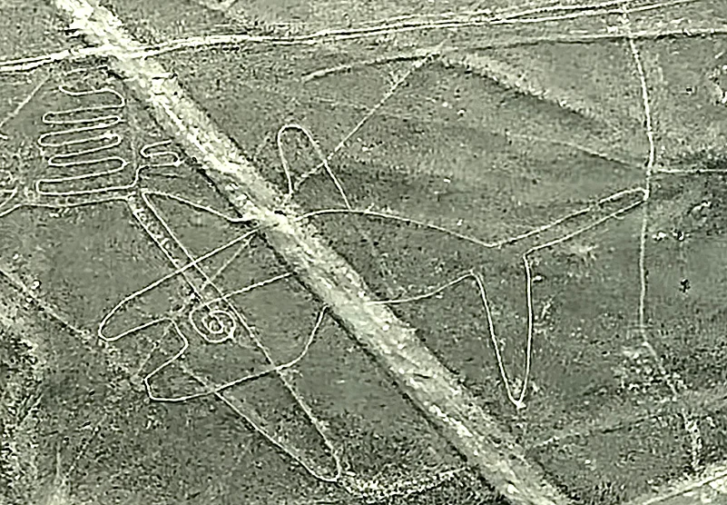 Nazca Lines, giant shapes of mysterious animals and geometric patterns carved into the earth, still puzzle historians and archaeologists