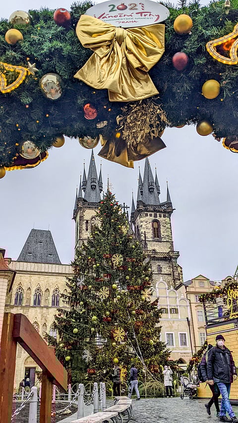 A view of the tree at Old Town Square of Prague