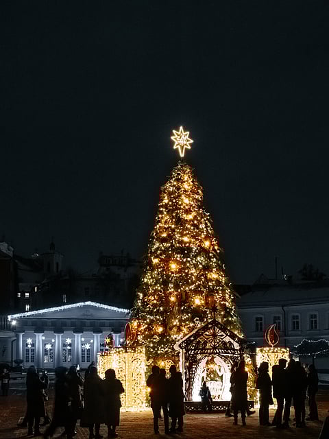 A view of the tree at Cathedral Square 