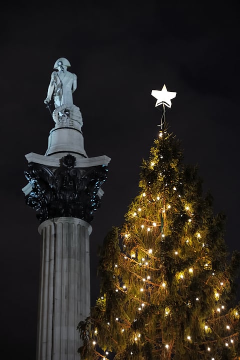 A view of the Norwegian tree at Trafalgar Square