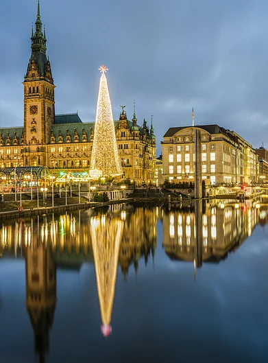 Shutterstock : A view of the Christmas tree in Hamburg