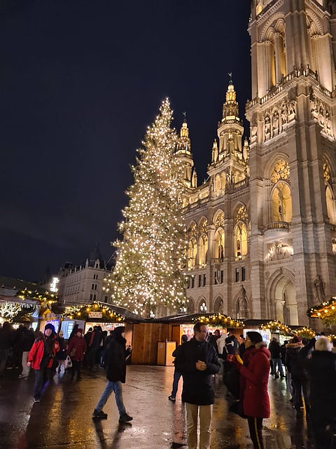 A view of Vienna’s Rathausplatz Christmas tree