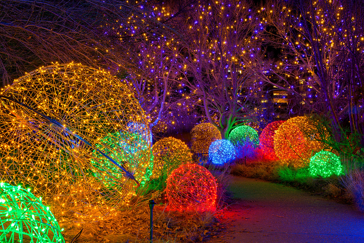 Festive lights at the Denver Botanic Gardens in December