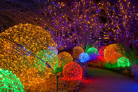 Festive lights at the Denver Botanic Gardens in December