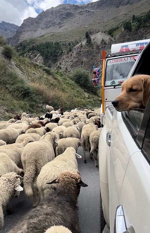 On the road towards Tandi