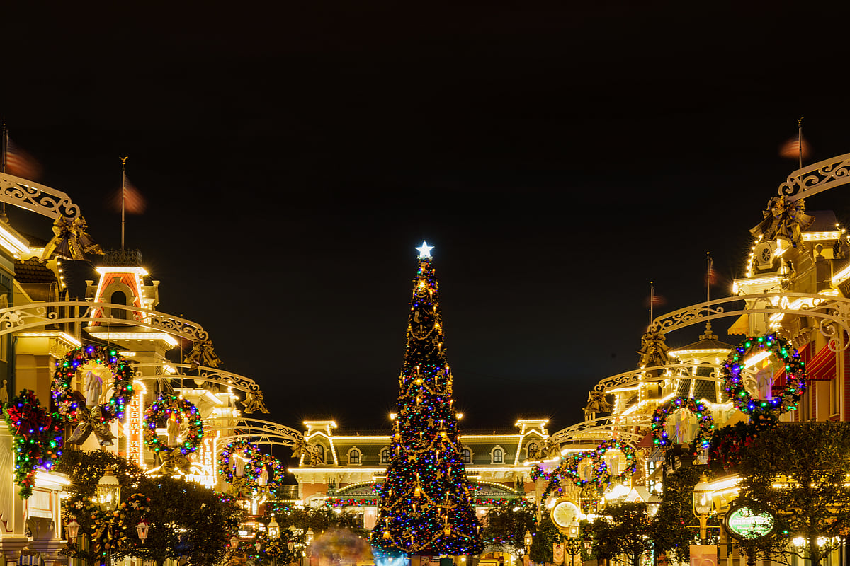 Donna R. Theimer AIFD/Shutterstock : A Christmas tree on Main Street, Walt Disney Worlds Magic Kingdom in Orlando, Florida